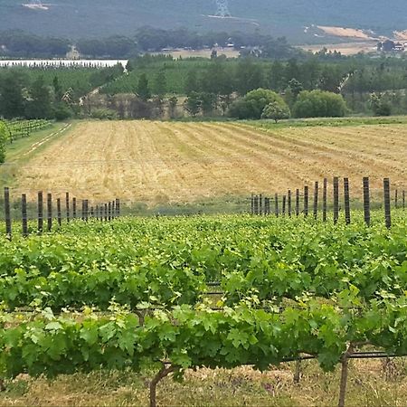 فيلا Lemberg Wine Estate تولباغ المظهر الخارجي الصورة